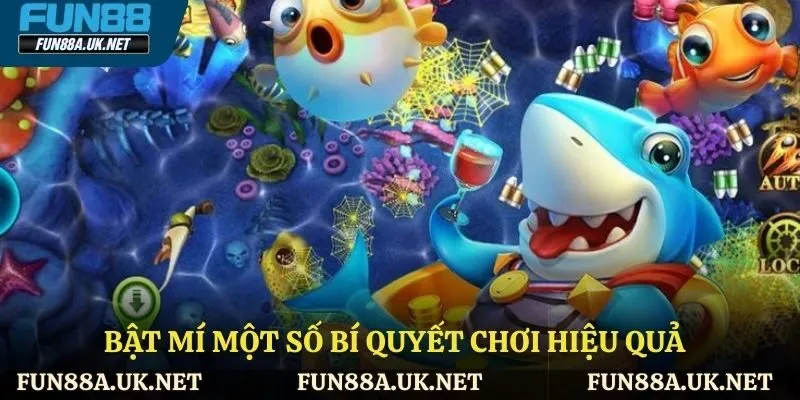 Bật mí một số bí quyết chơi hiệu quả cho người mới