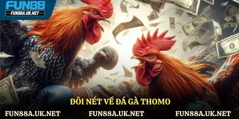 Giới thiệu sân chơi đá gà Thomo
