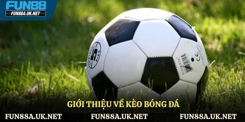 Tìm hiểu về kèo bóng đá 
