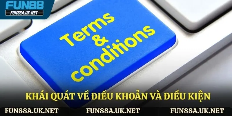 Giới thiệu thông tin điều khoản