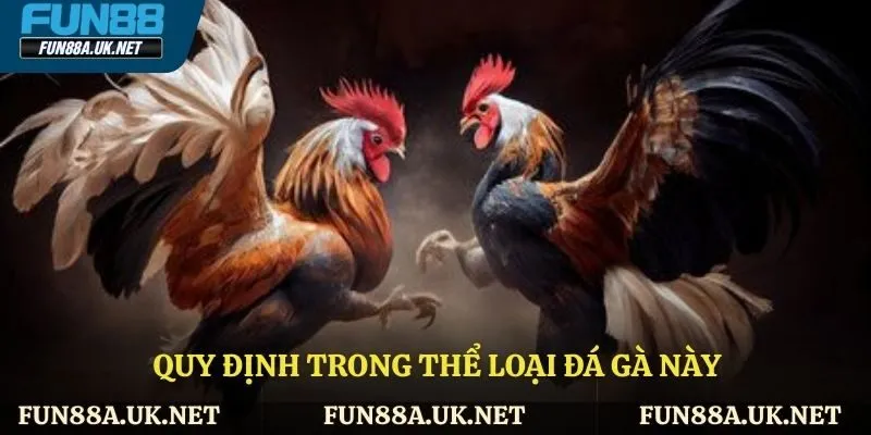 Quy định trong thể loại đá gà này